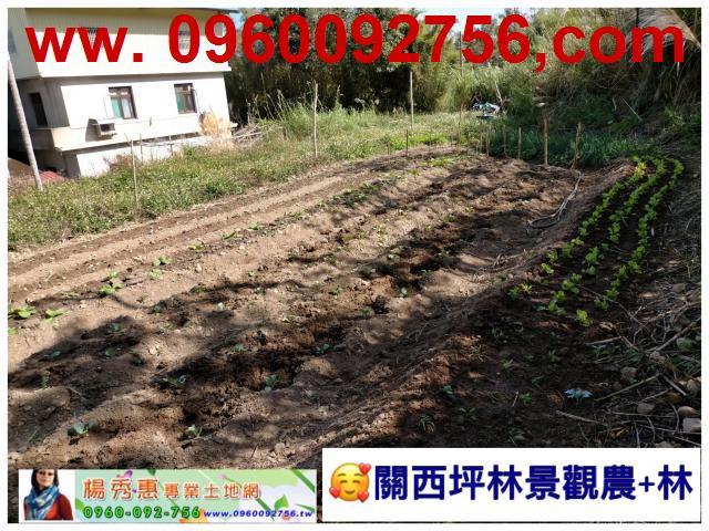 新竹關西休閒地-5