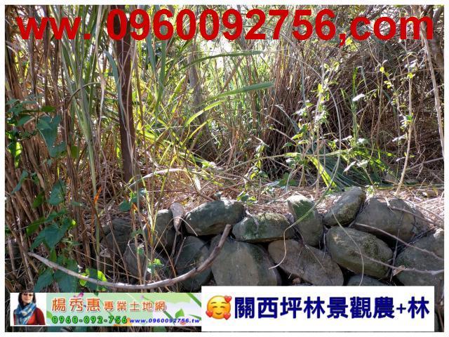 新竹關西休閒地-6