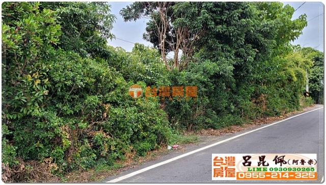 民雄農地-2