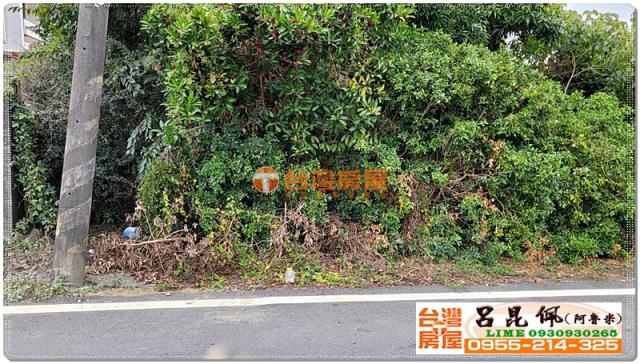民雄農地-3