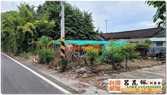 民雄農地-4