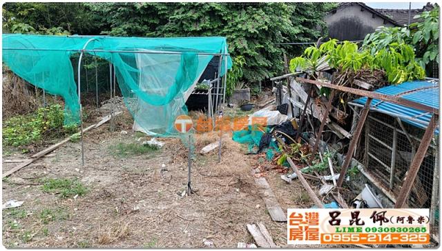 民雄農地-5