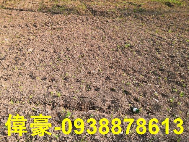 高雄工業地-1
