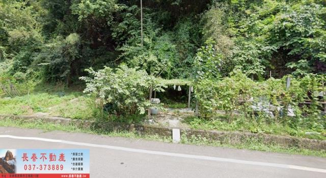 苗栗農地-1