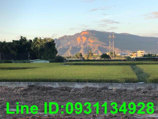 后里農地-1