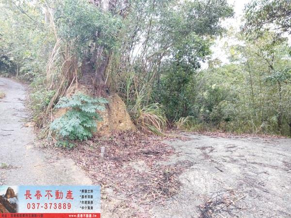 銅鑼農地-3