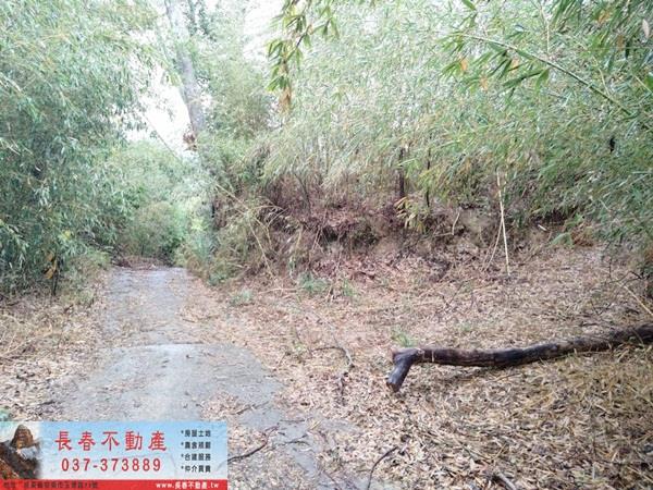 銅鑼農地-6