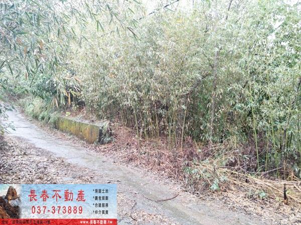 銅鑼農地-7