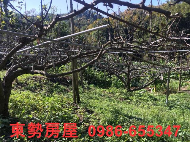 台中休閒地-10