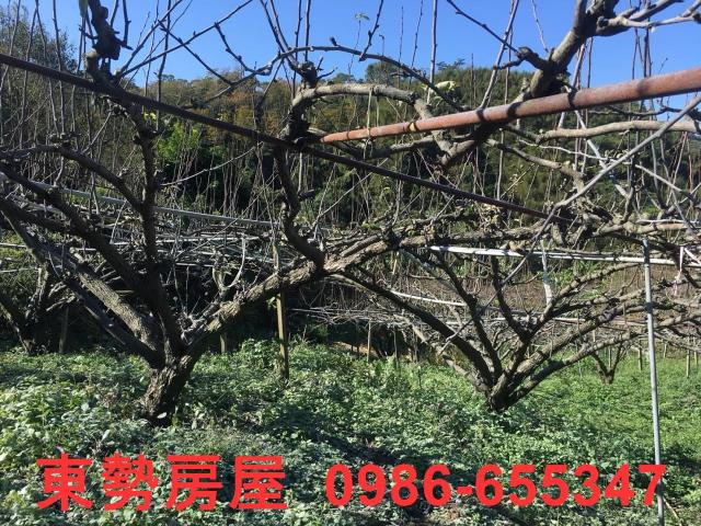 台中休閒地-6