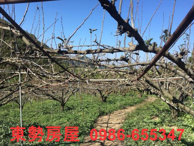 台中休閒地-7
