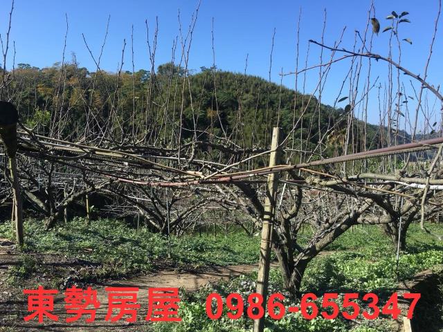 台中休閒地-8