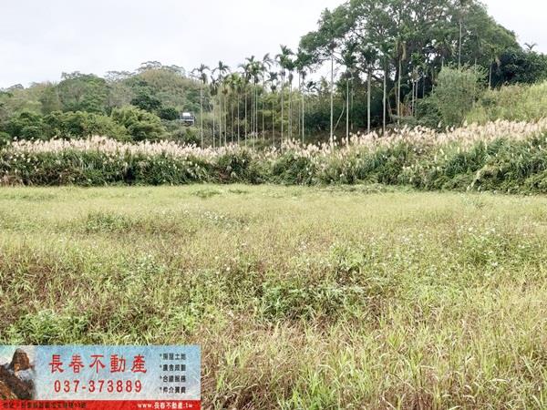 頭屋農地-2
