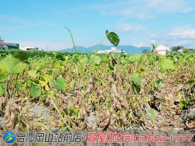 高雄美濃農地-10