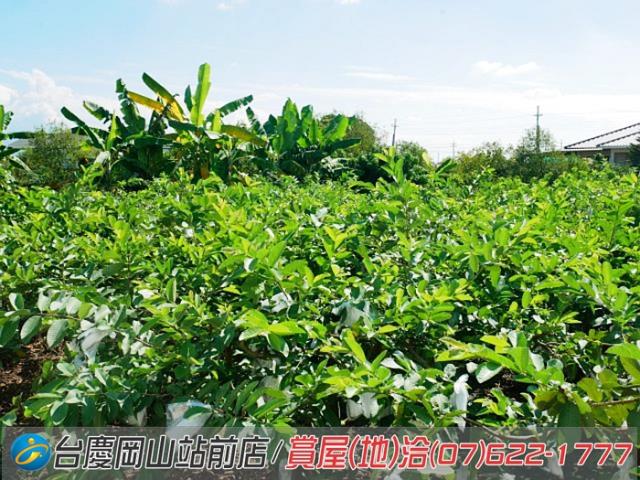 高雄美濃農地-12