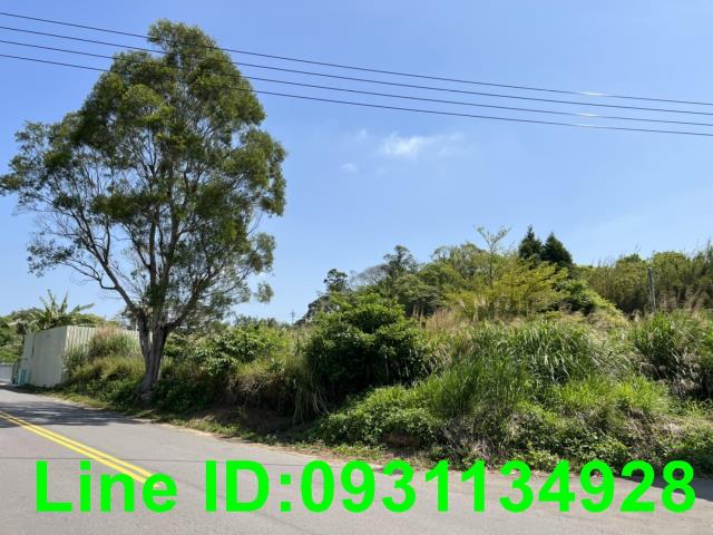 苗栗農地-1