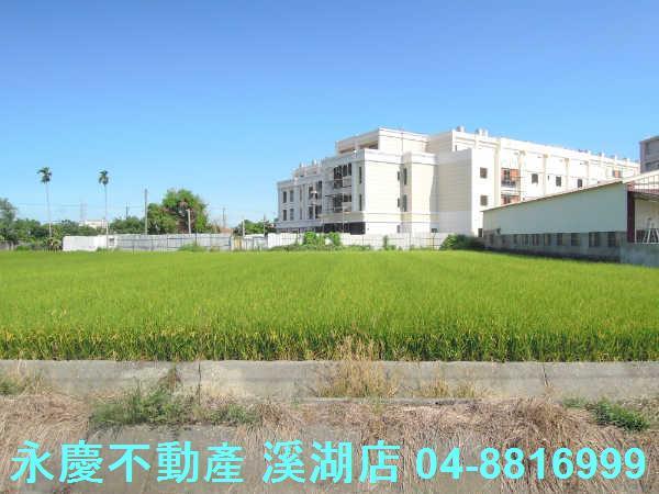 溪湖農地-11
