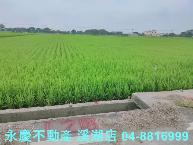 彰化農地-8