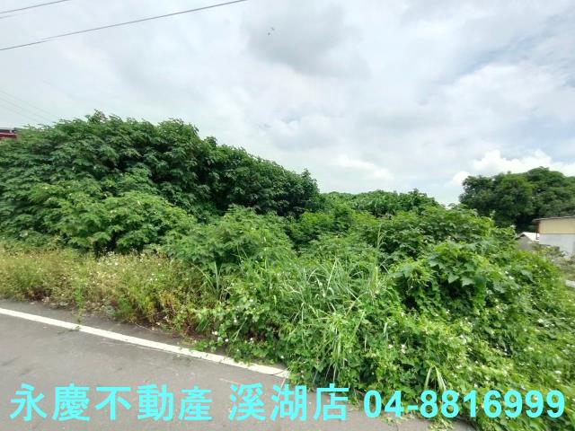 溪州建地-6