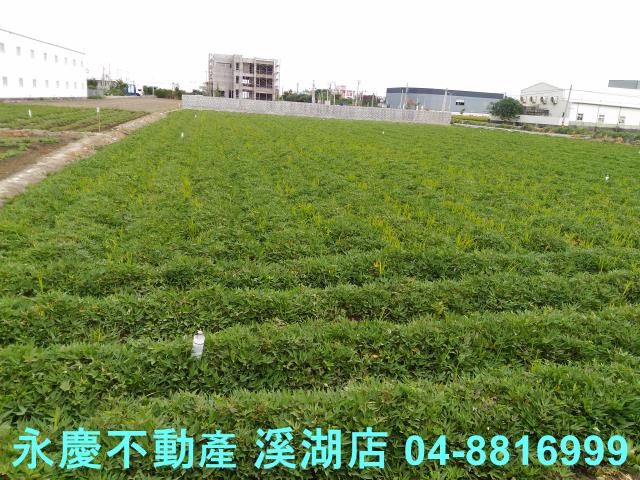 彰化農地-3