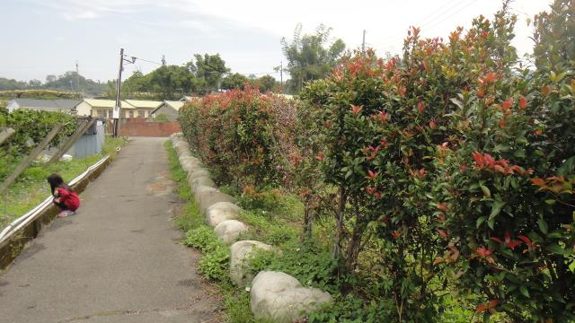 東勢農地-1