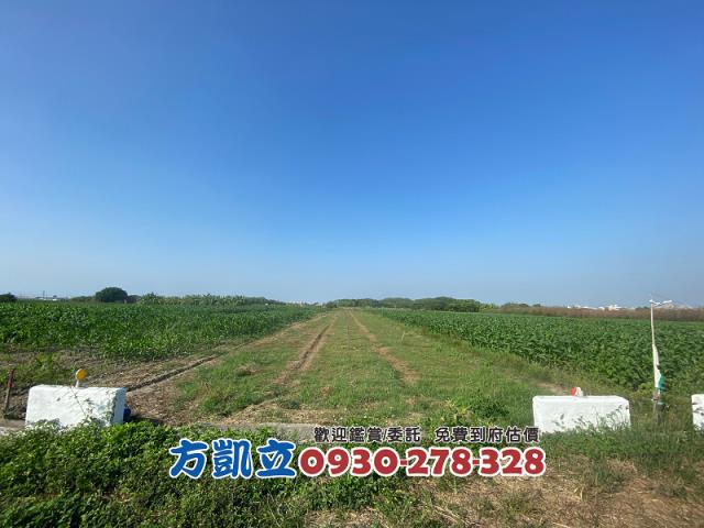 台南佳里農地-4