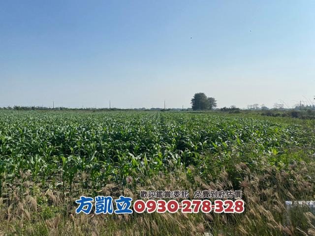 台南佳里農地-6