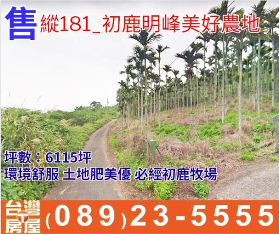 初鹿明峰美好農地