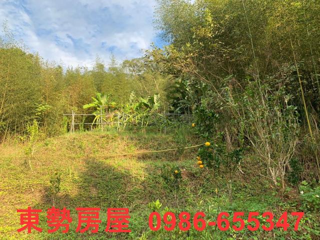 東勢農地-2