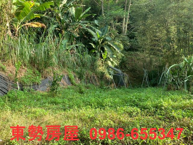 東勢農地-4