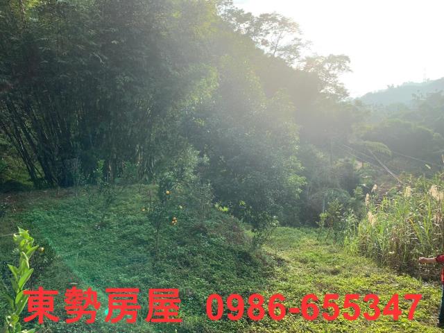 東勢農地-5