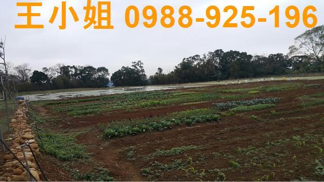 桃園大溪農地-3