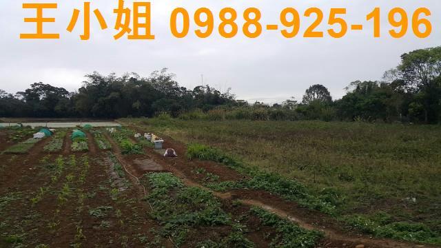桃園大溪農地-4