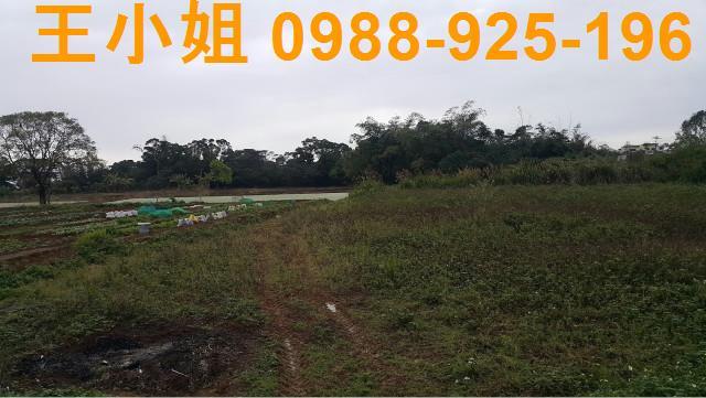 桃園大溪農地-5