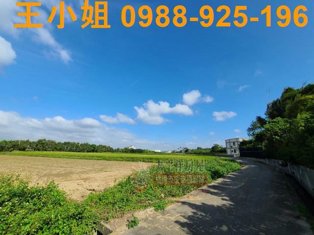 楊梅農地-1