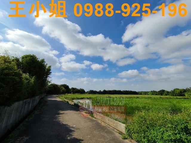 楊梅農地-2