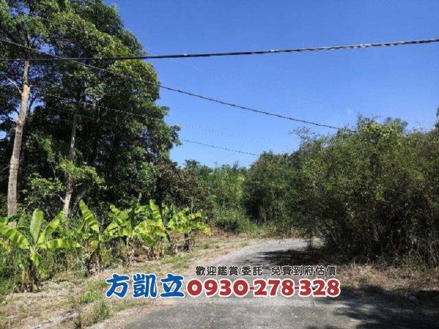 台南丙種建築用地-8