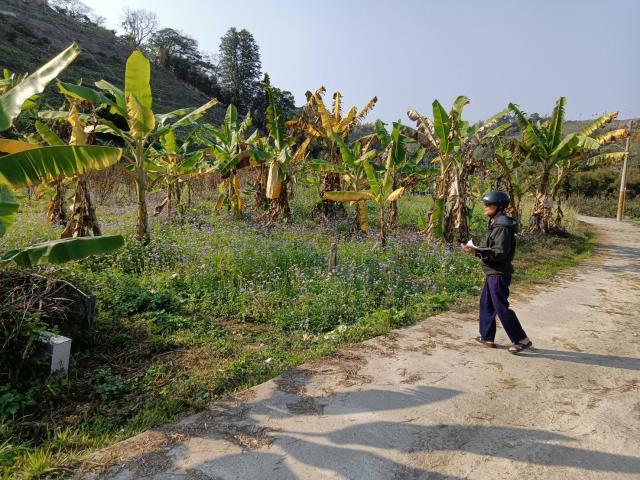 台中東勢農地-1