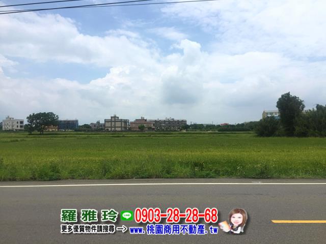 桃園農地-7
