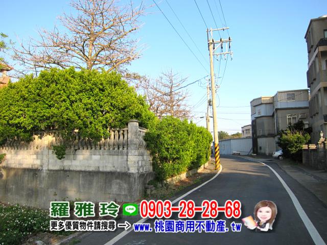 桃園農地-2