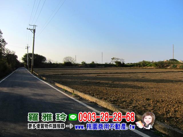 桃園農地-3