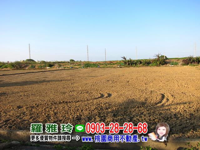 桃園農地-4
