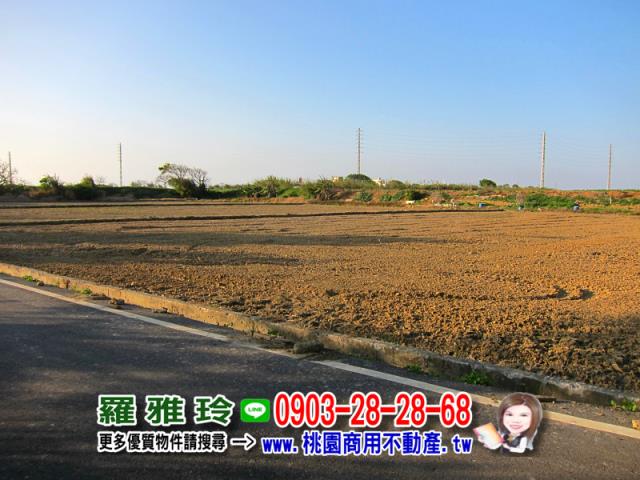 桃園農地-5