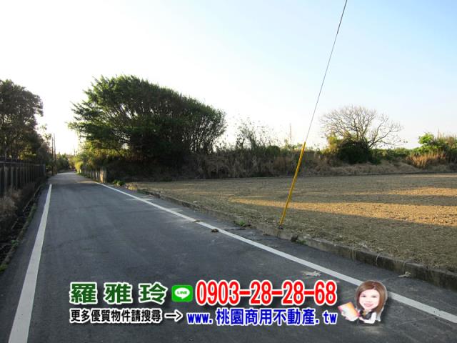 桃園農地-6