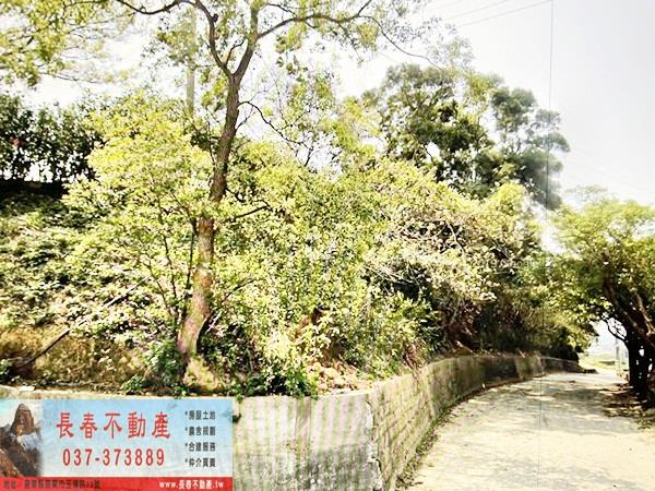 後龍農地-1