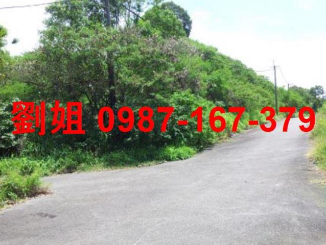 高雄燕巢農地-1