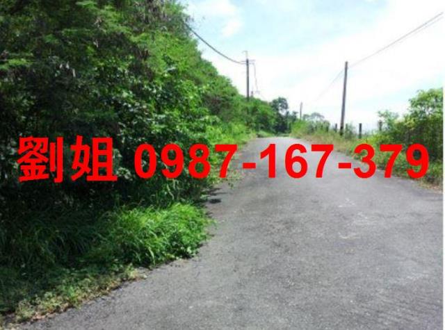 高雄燕巢農地-3