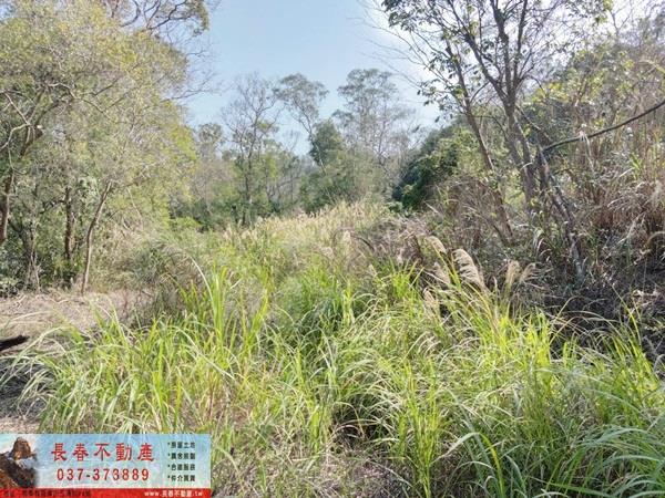 苗栗建地-4
