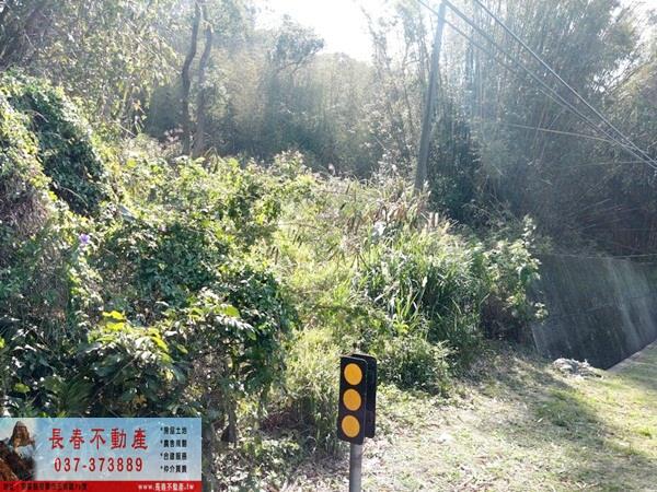 苗栗建地-7