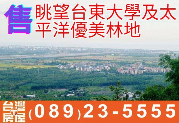 眺望台東大學及太平洋